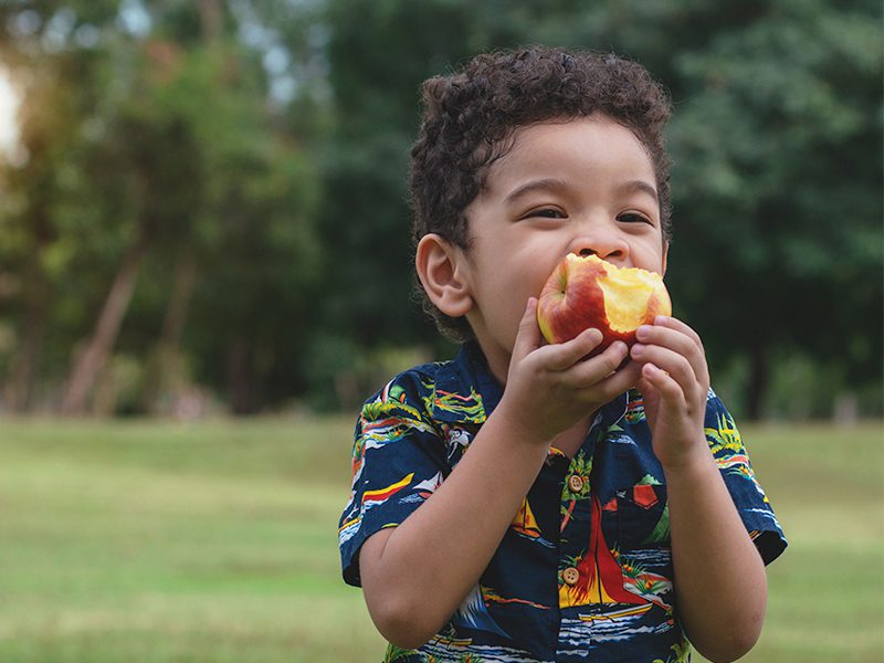 Little boy eating an apple